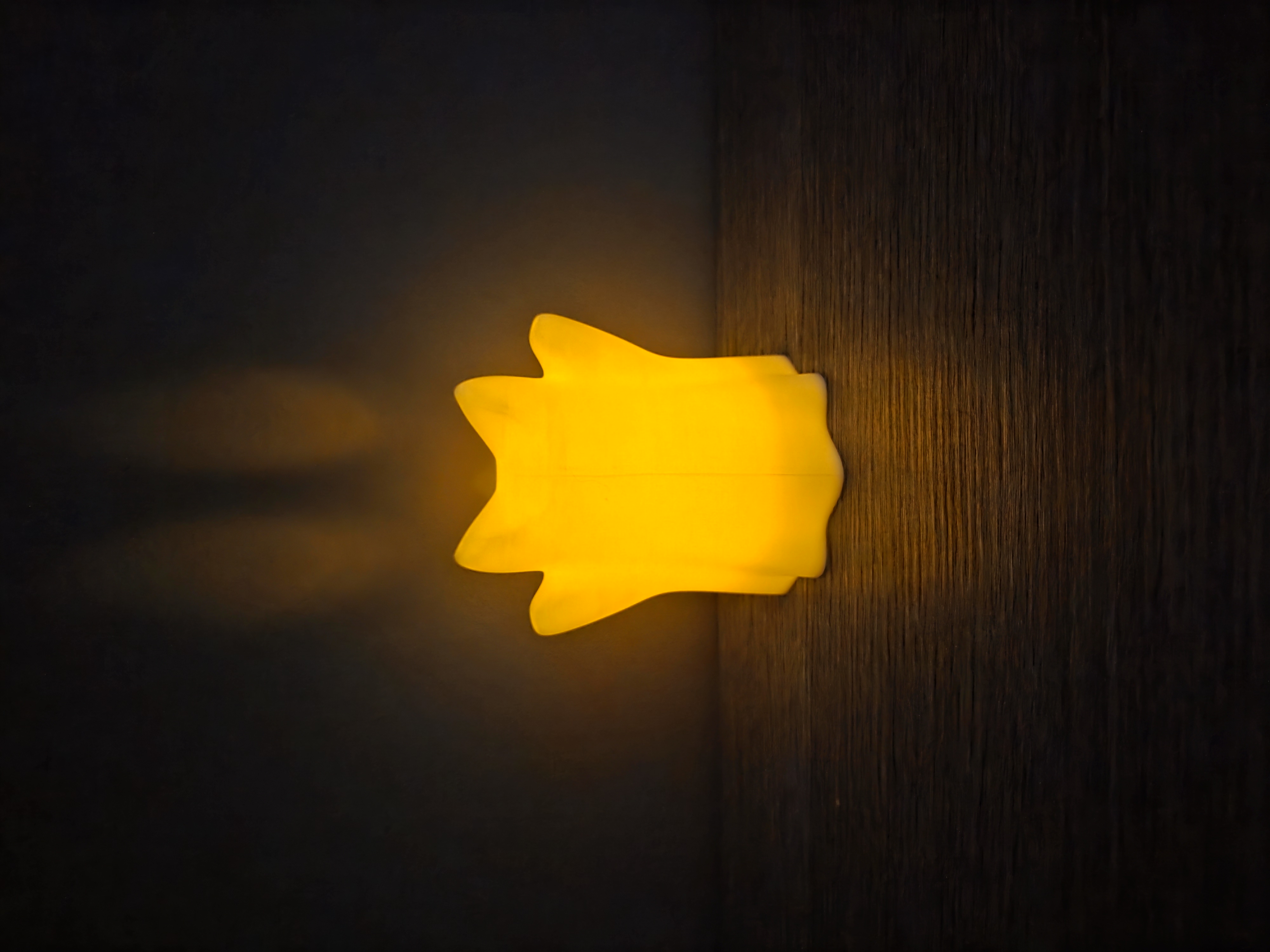 Lanterna gatto fantasma