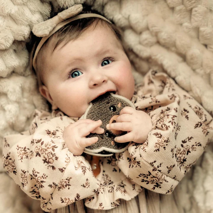 Chewies&more čiulptuko servetėlė-kramtukas, MEŠKUTIS