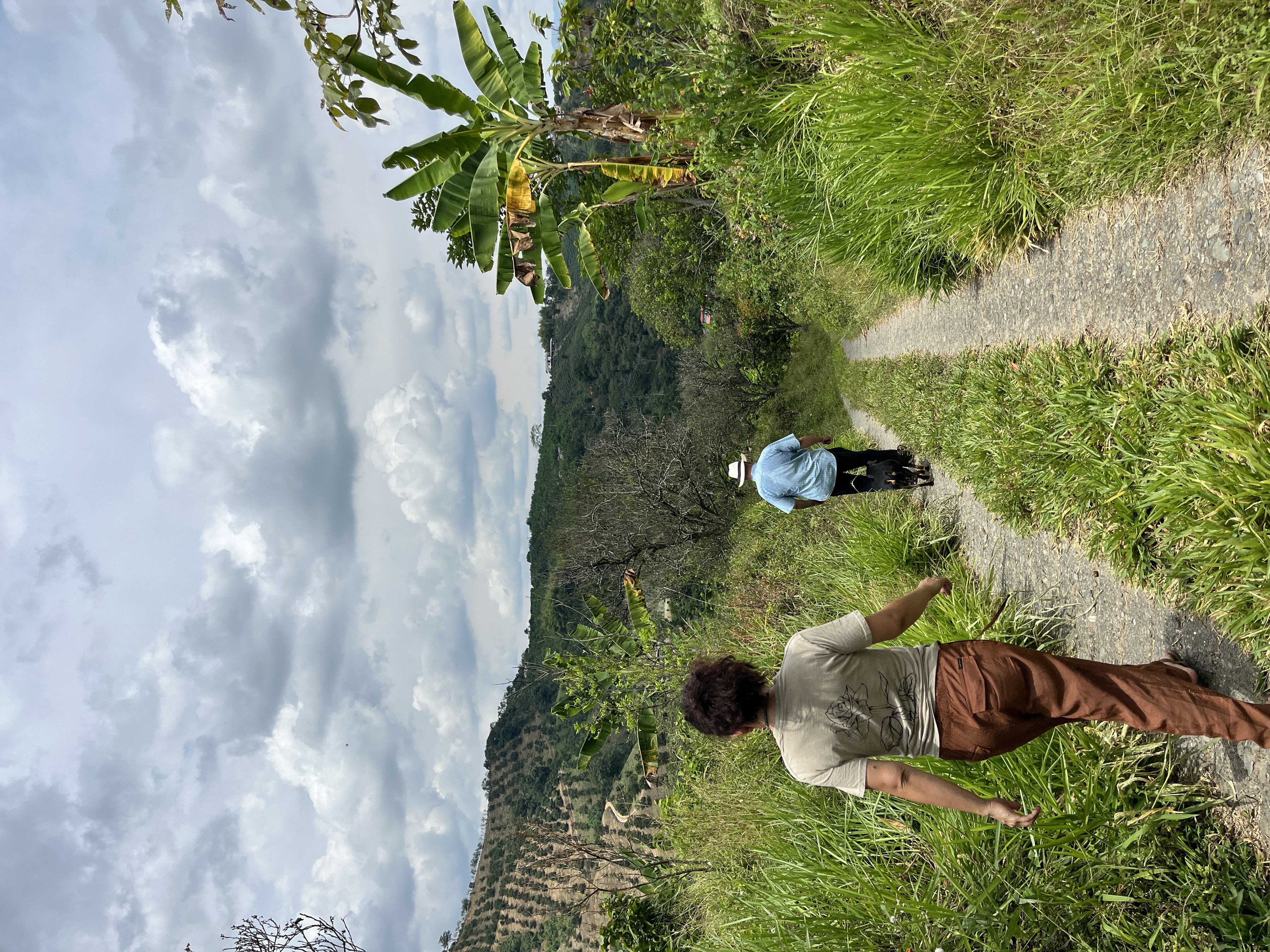 Cultivate & Process Your Own Cacao