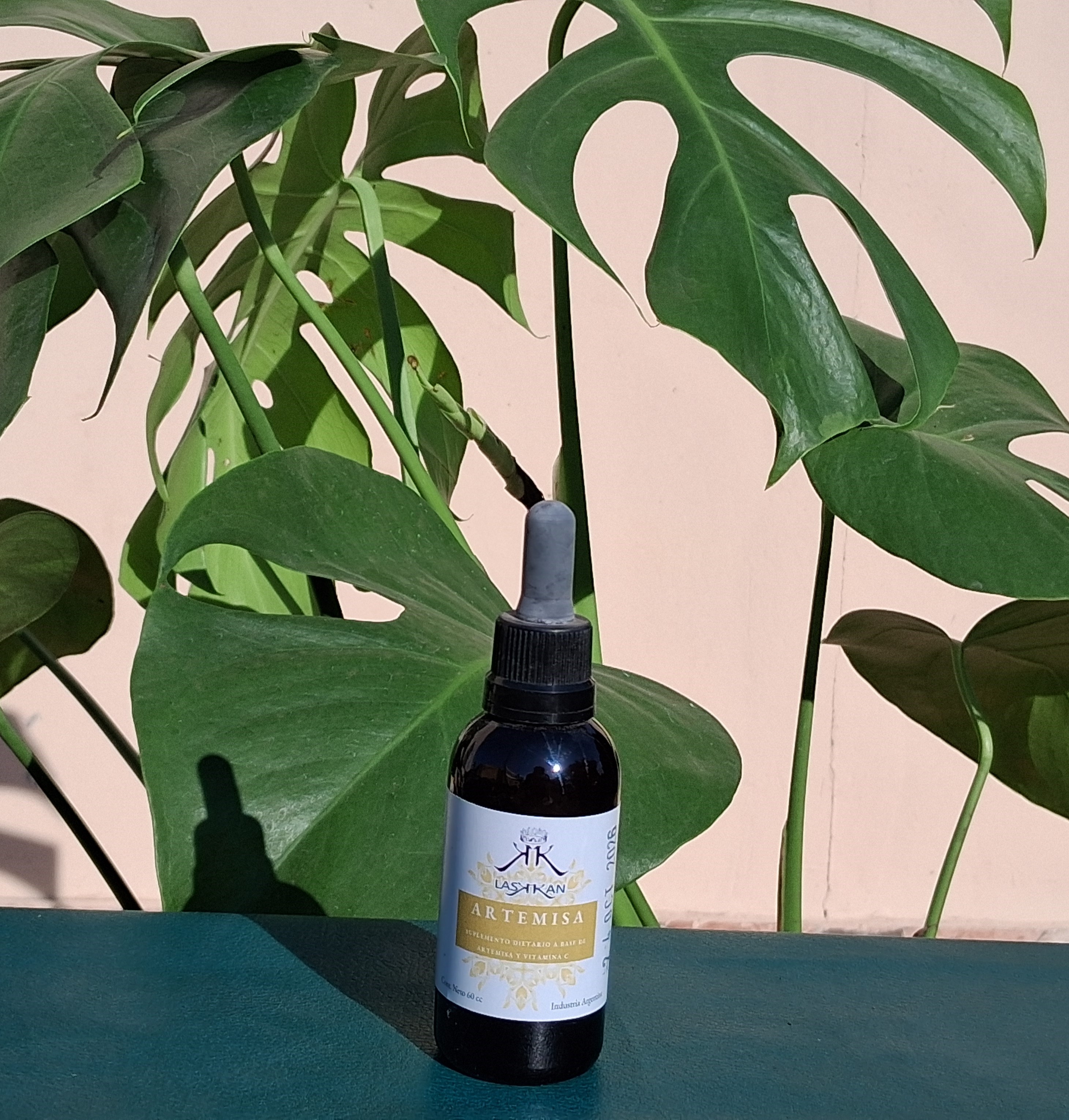 ALTAMISA - ARTEMISA DULCE