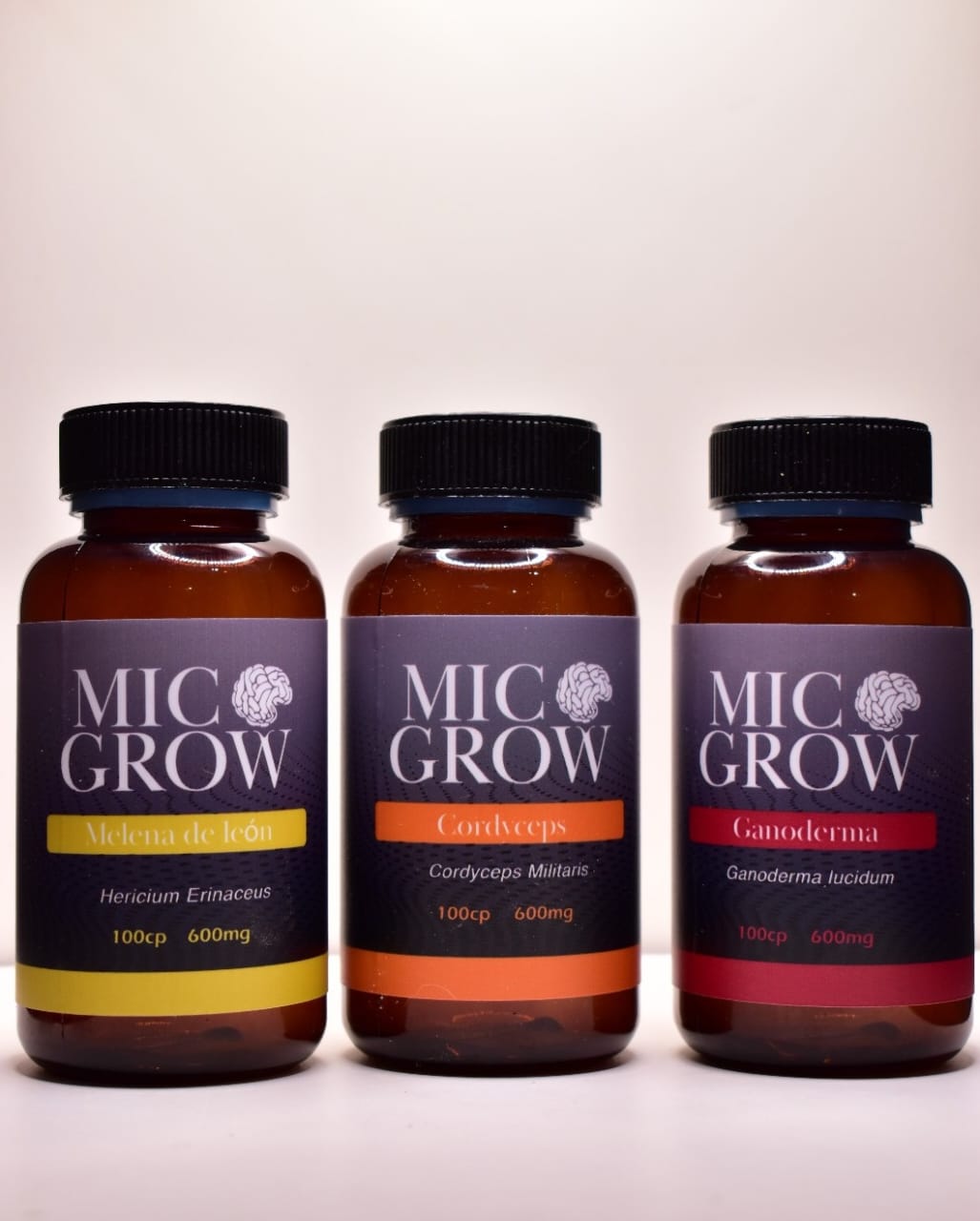 Combo Melena de León - Cordyceps - Ganoderma