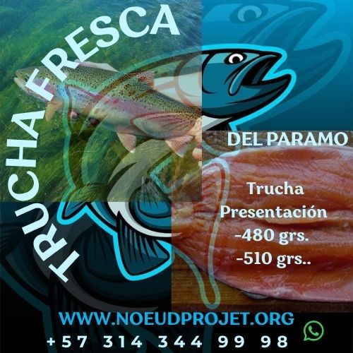 "Promoción Mes Julio" Truchas Frescas 480 grs aprox.