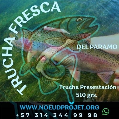 Truchas Frescas 510 grs aprox
