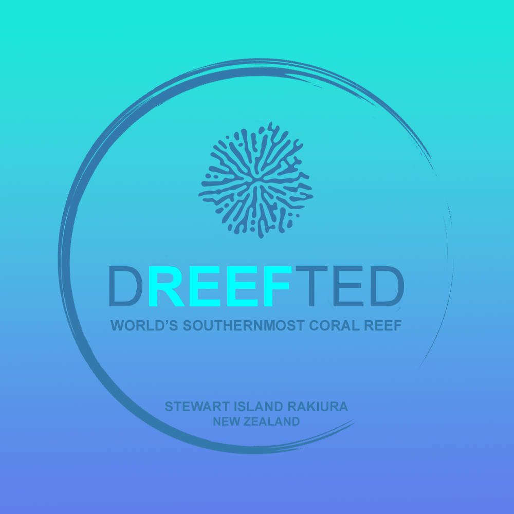 Seasonal pass Coral Lounge access card