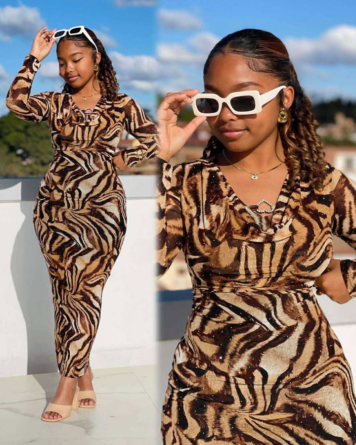 Zebra Print Long Sleeve Maxi Dress