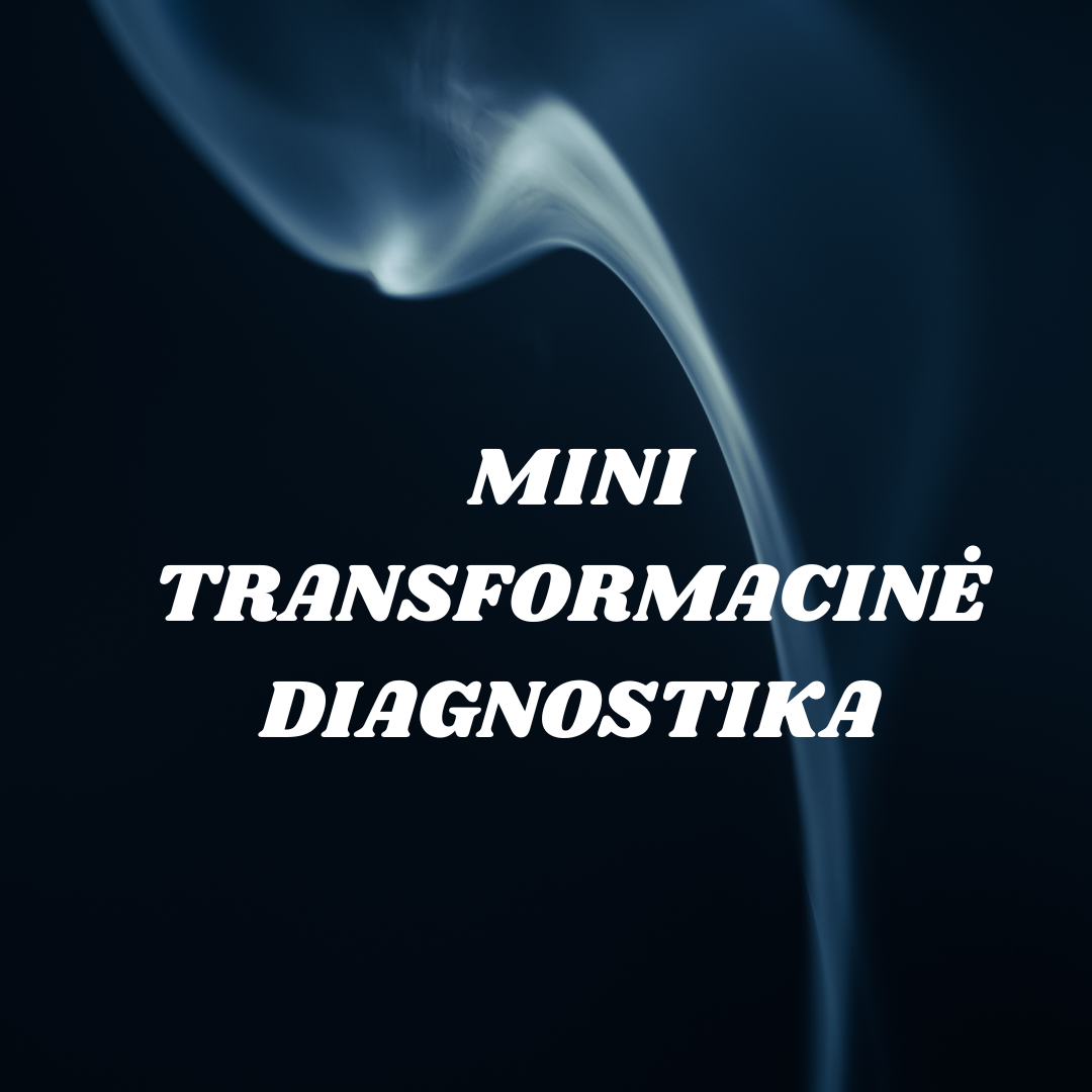  Mini Transformacinė Diagnostika