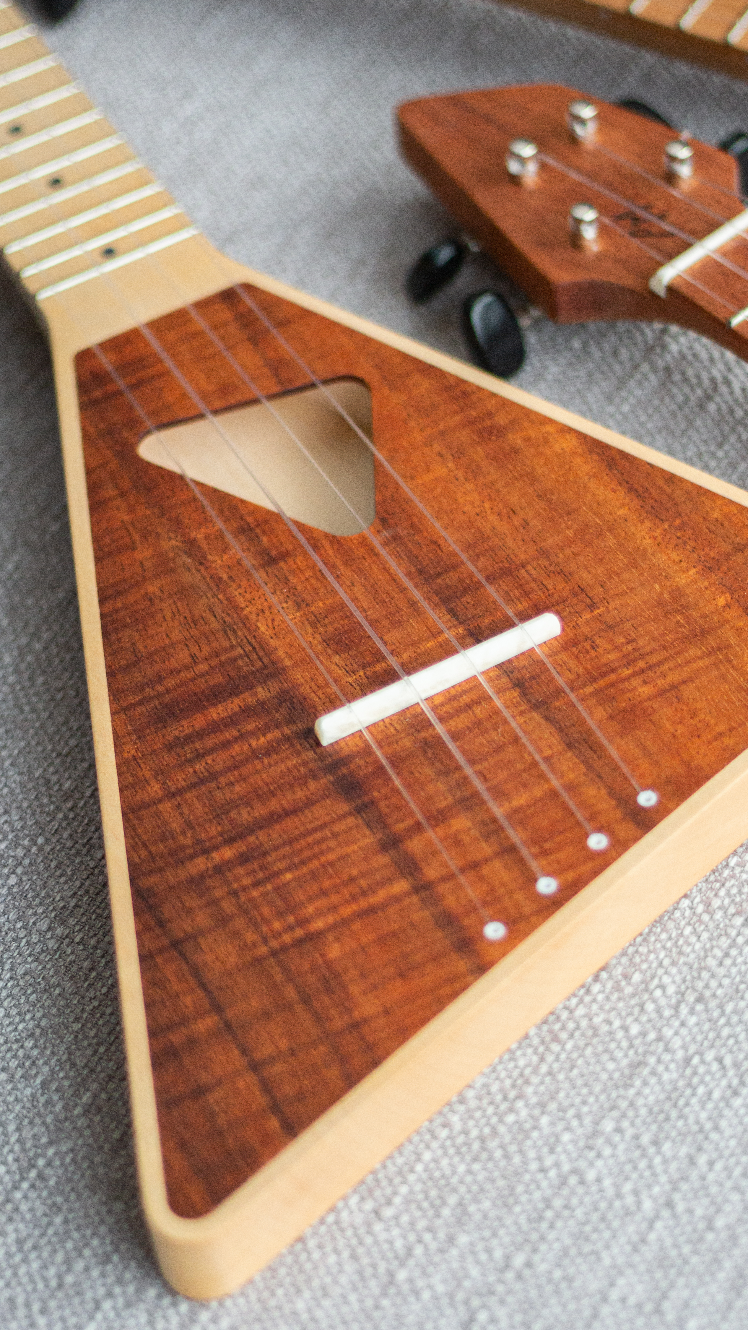 Le Shark concert KOA/Erable