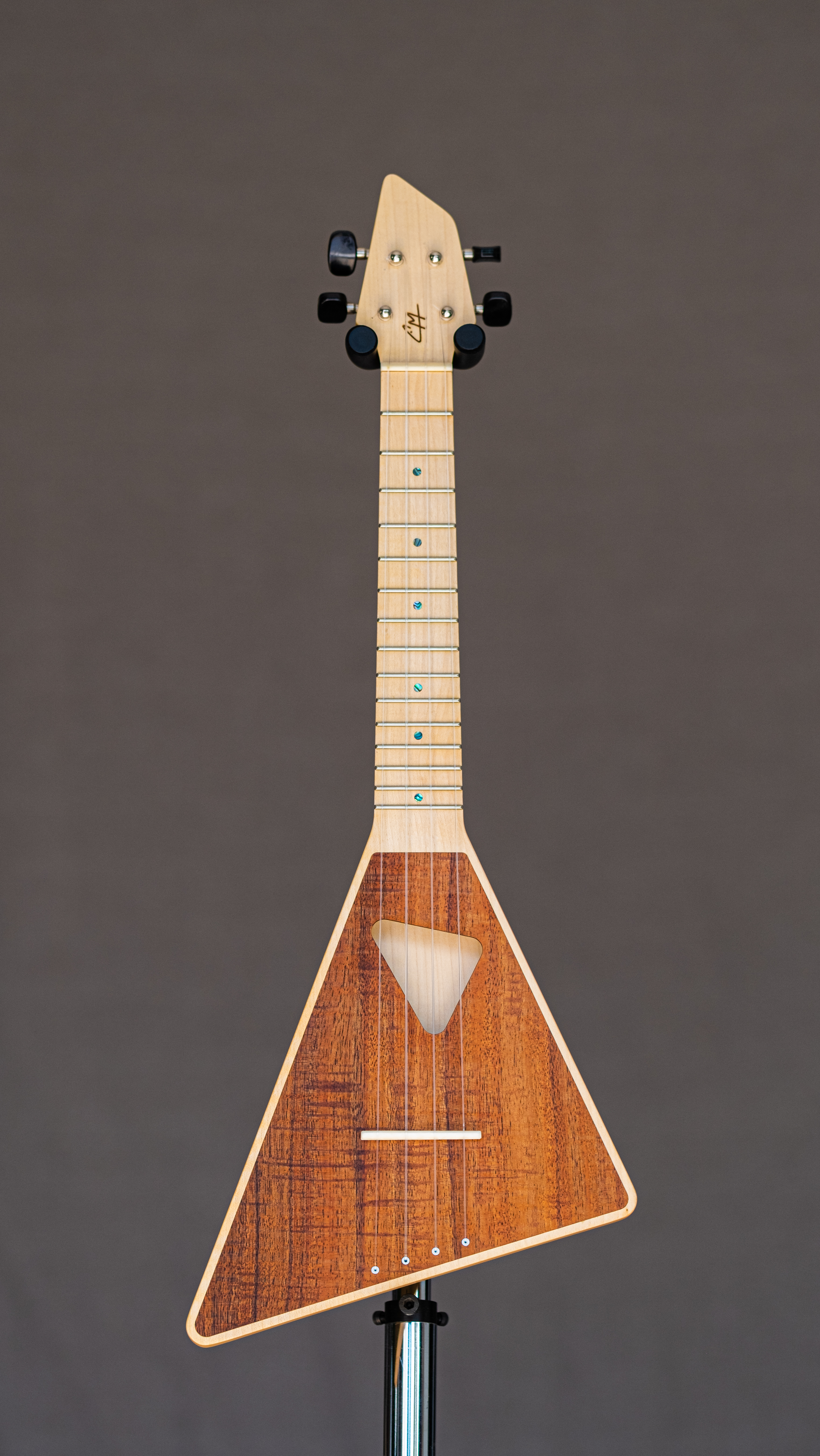 Le Shark concert KOA/Erable