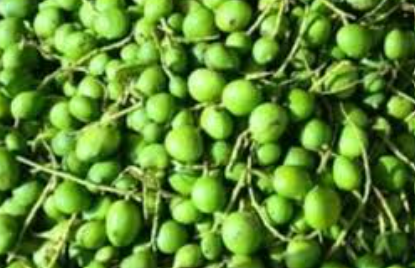 Tender Mango (Kadukumanga) Pickle (250g)