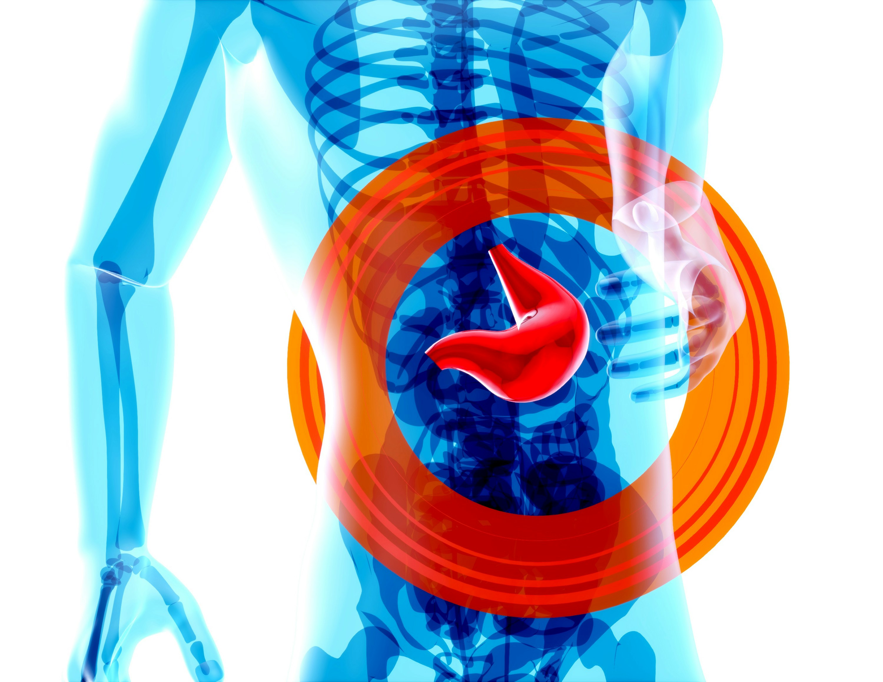 Liver Function Tests