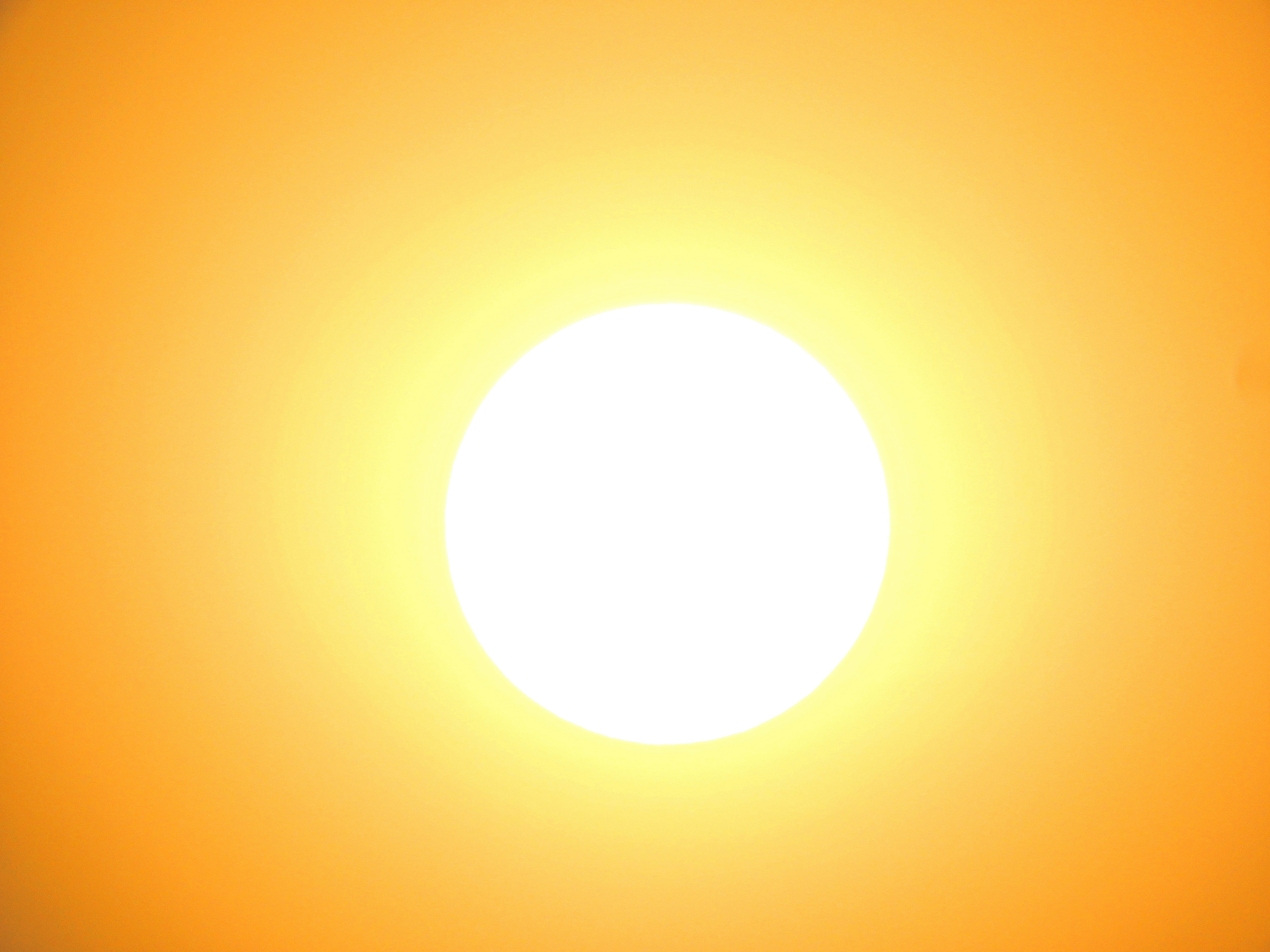 Vitamin D