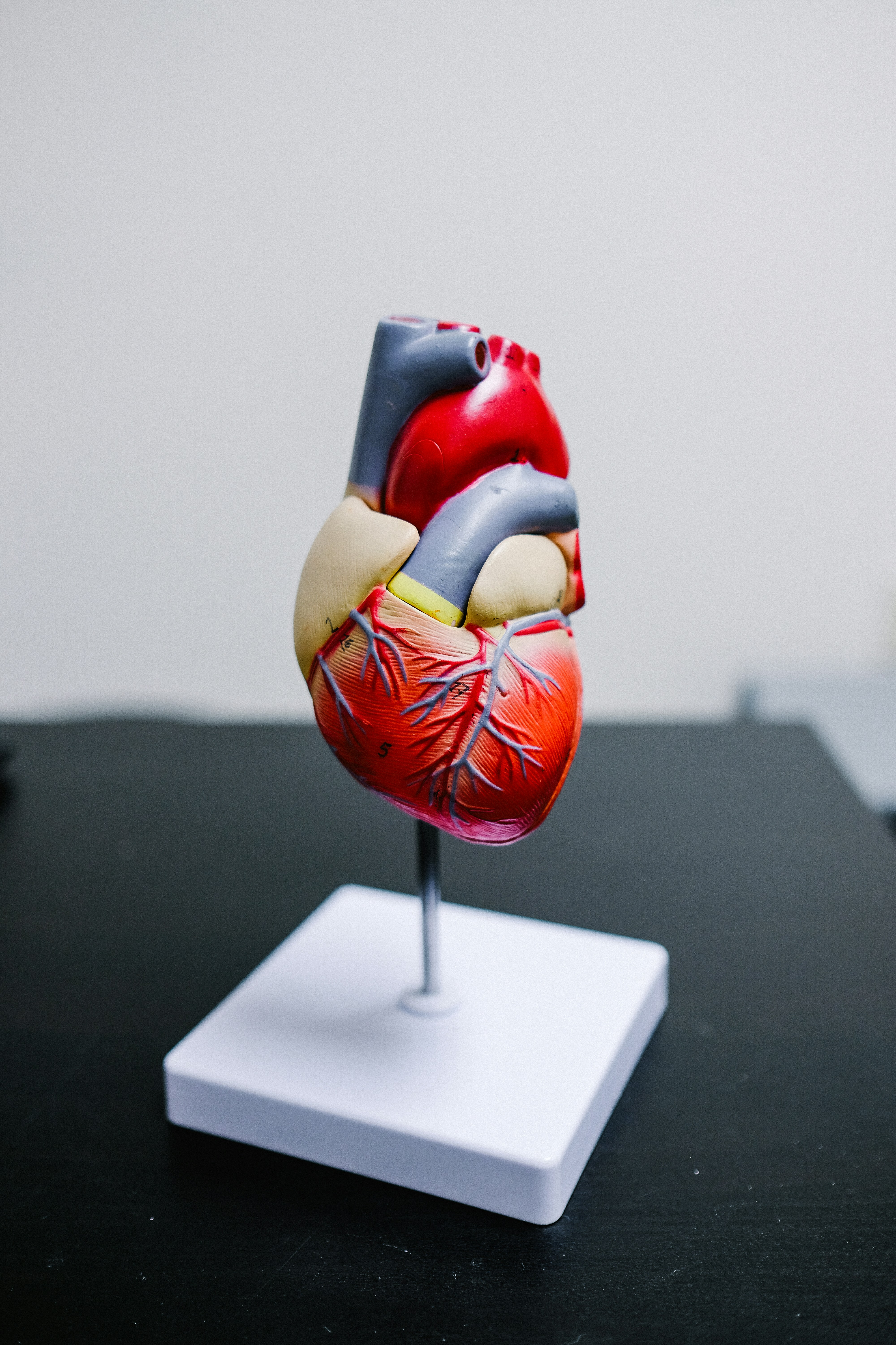 Cholesterol