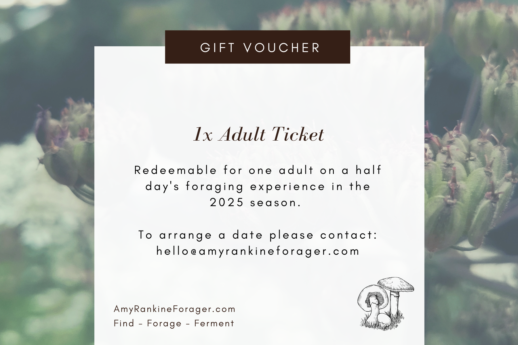 Adult Ticket - Half Day's Foraging