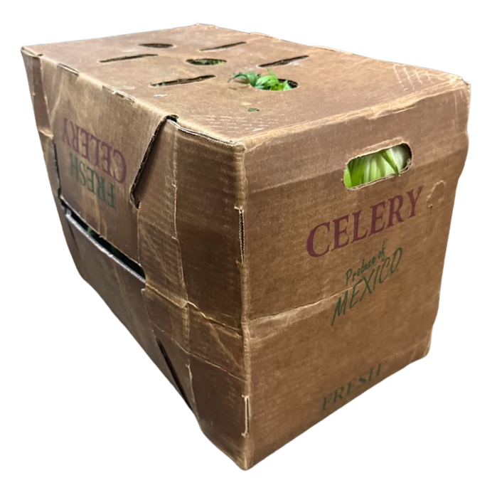 Celery 24ct