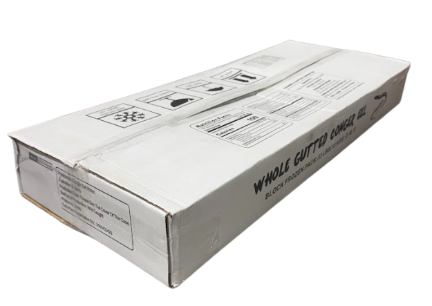 2000g up Conger Eel 24800A0