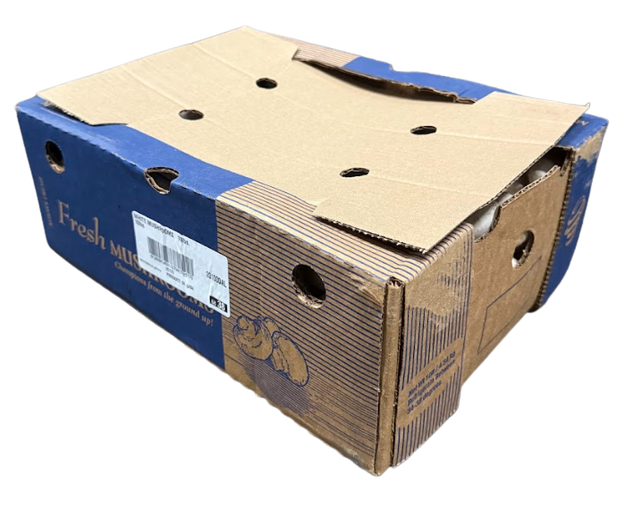 Fresh Mushroom(10LB)