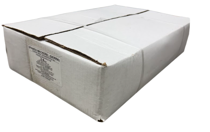 2/4 Spanish mackerel