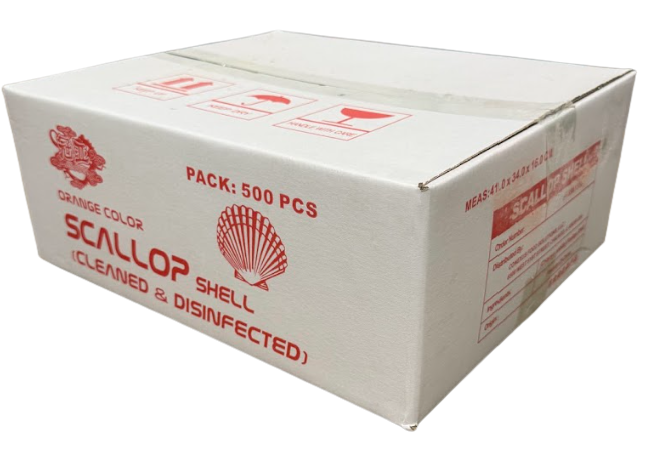 6.5up Scallop Shell(500)