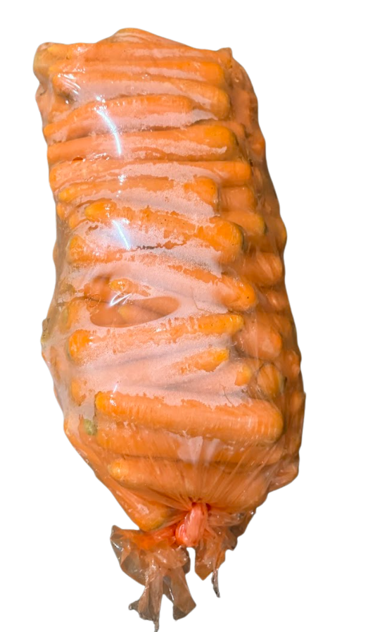 Jumbo Carrot 30040A0