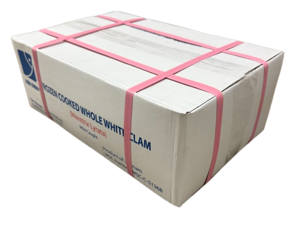 17/22 White Clam 21260D0