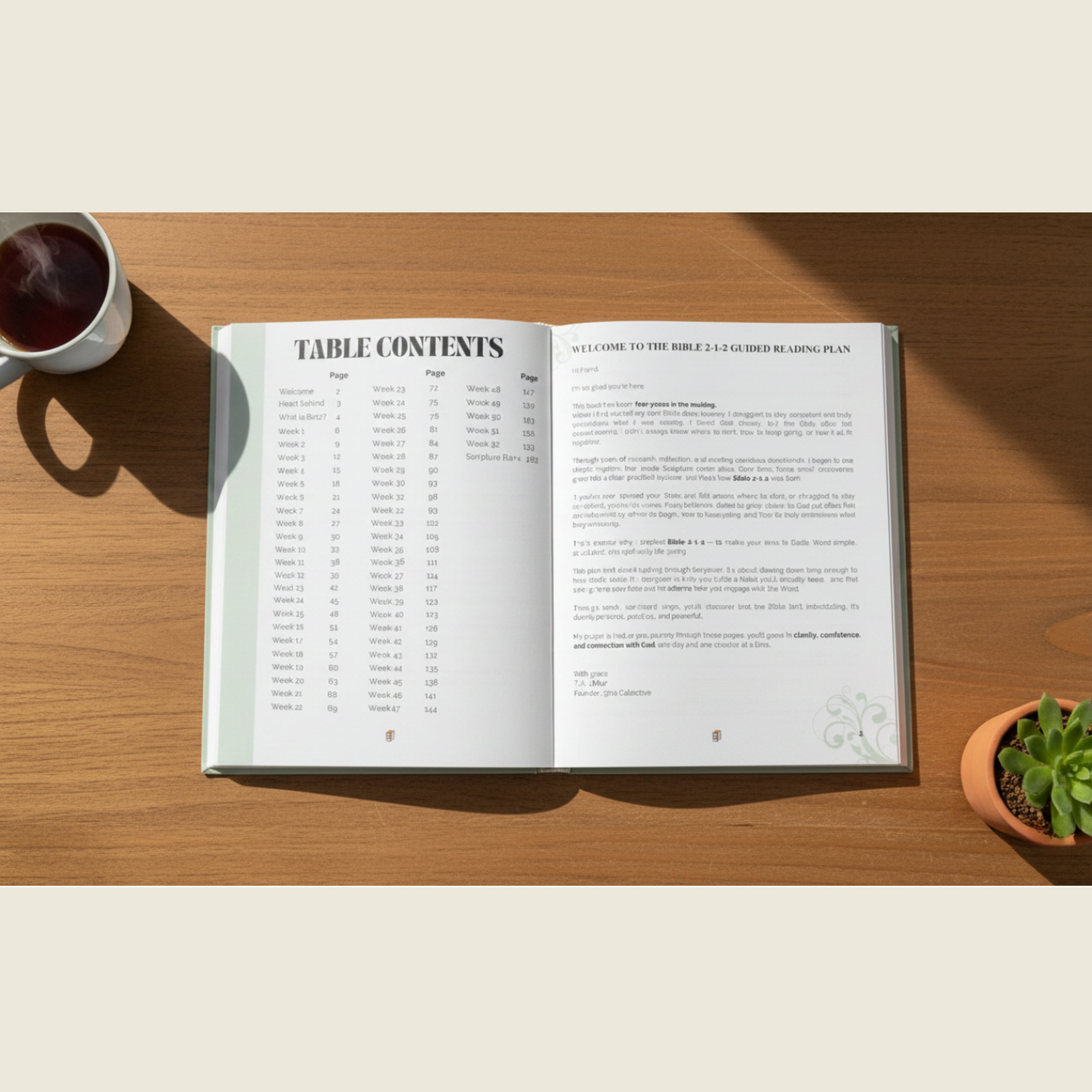 Bible 2-1-2 Guided Reading Plan (Physical Edition)