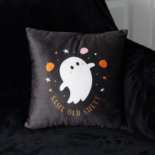 'Same Old Sheet' Cushion