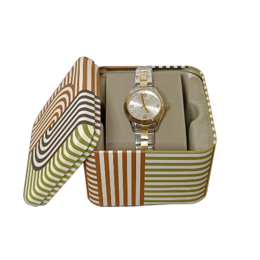 Reloj Fossil Rye Acero Plateado | Dama