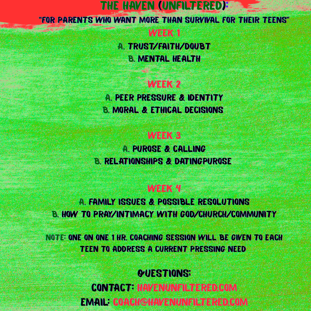 Teen Mentorship Program Discounted until 12/15 for the Holiday Special