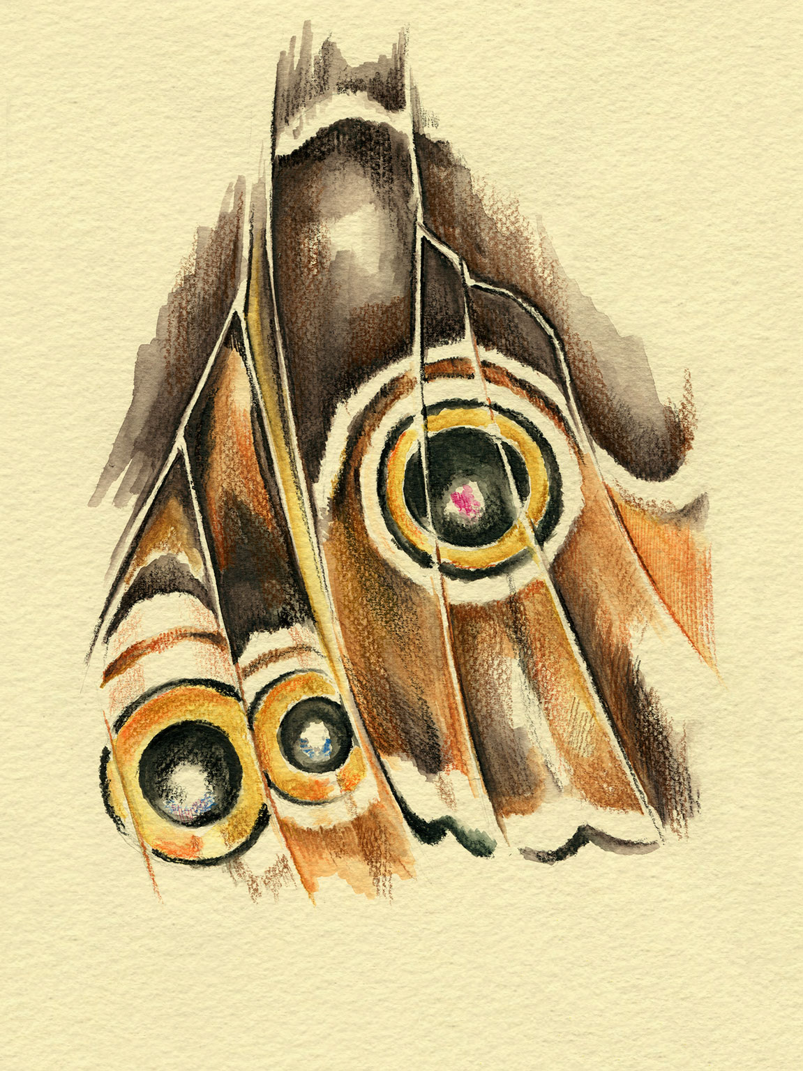 Butterfly Wing Art Print