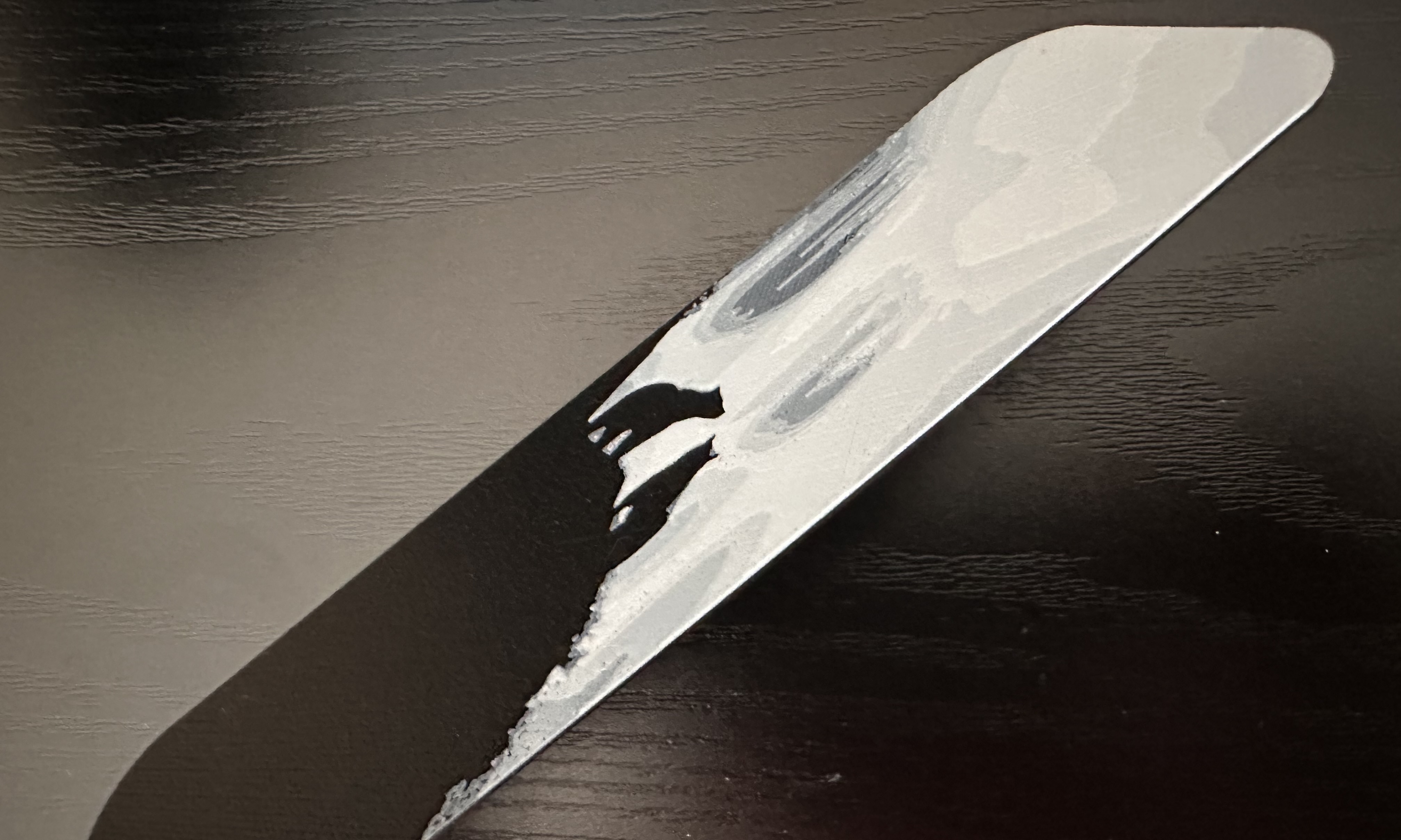 3D Printed Bookmark - Grizzly Bear Silhouette