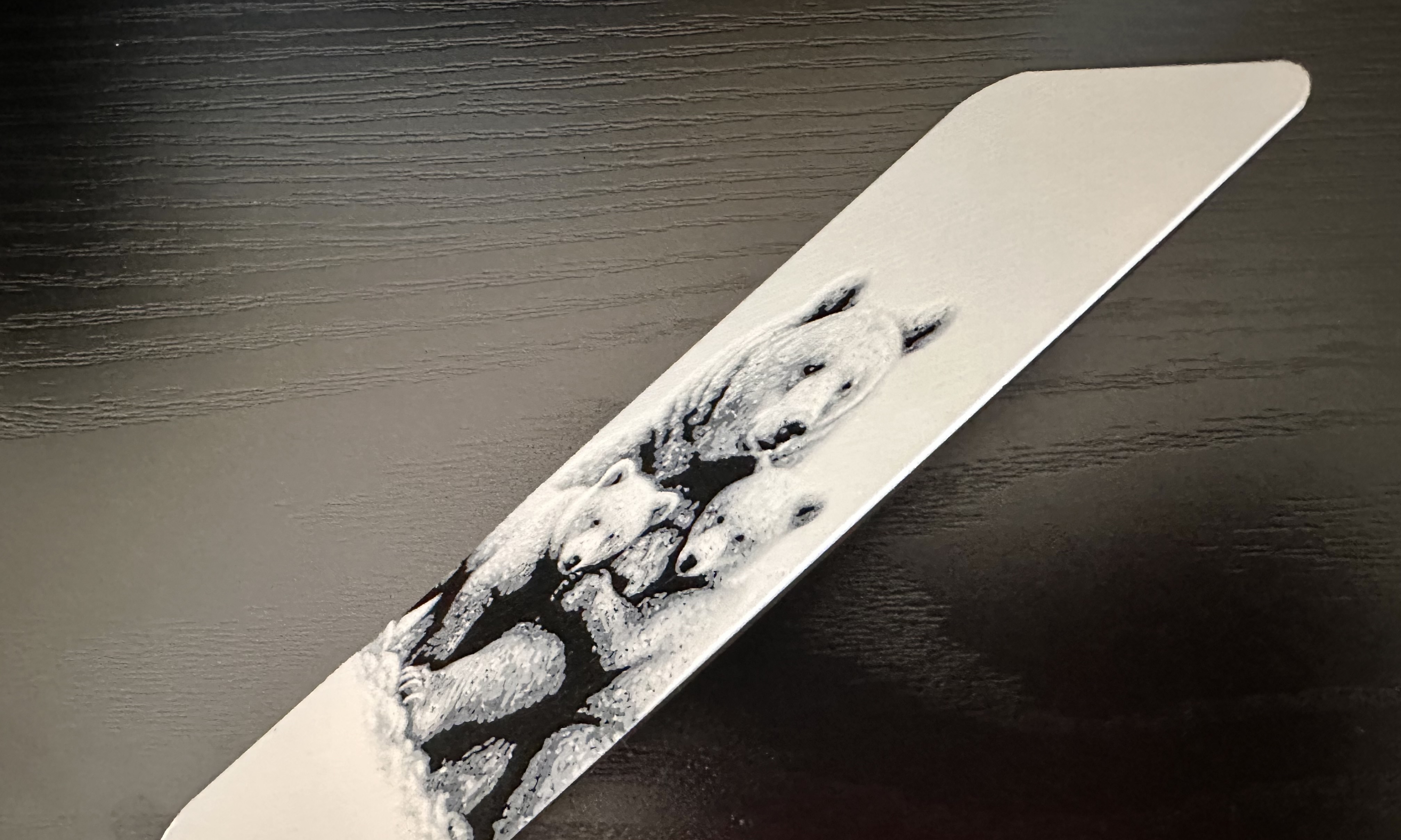 3D Printed Bookmark - Grizzly Bear & Cubs