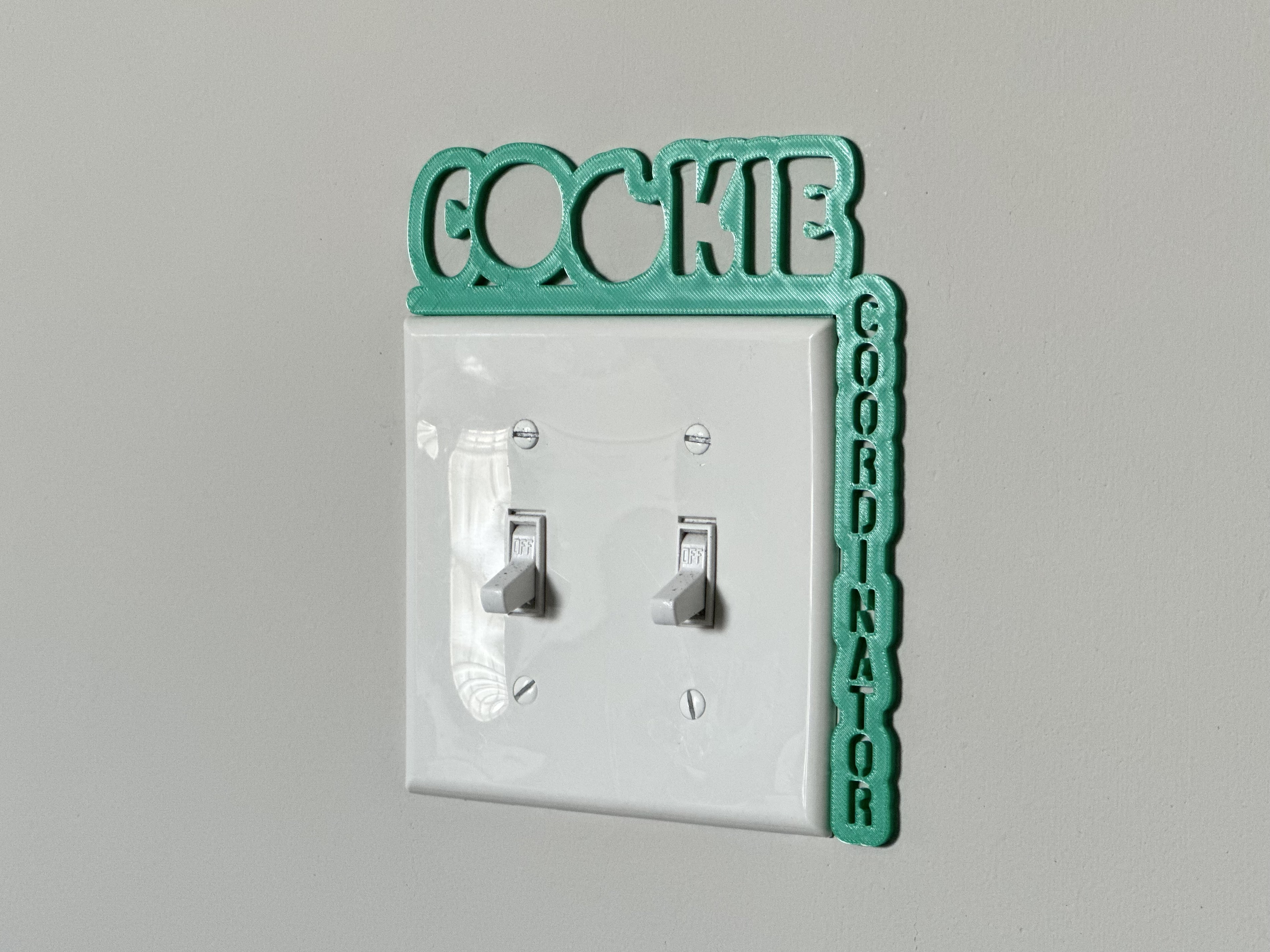 Light Switch Display - Girl Scouts
