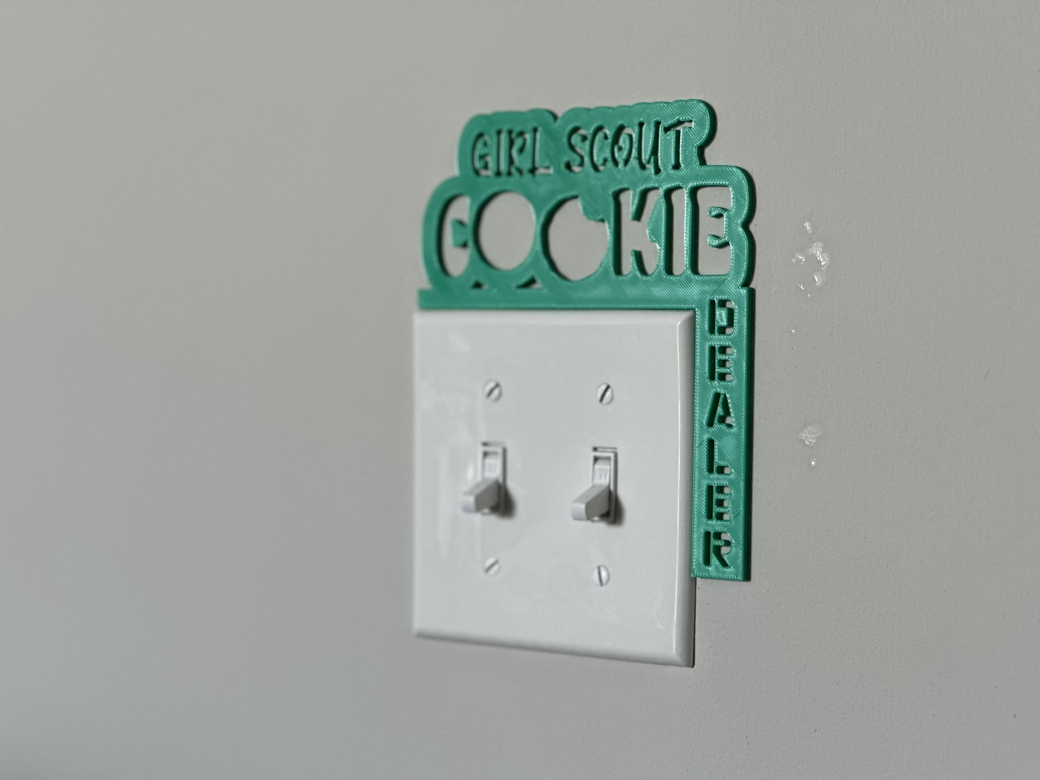 Light Switch Display - Girl Scouts