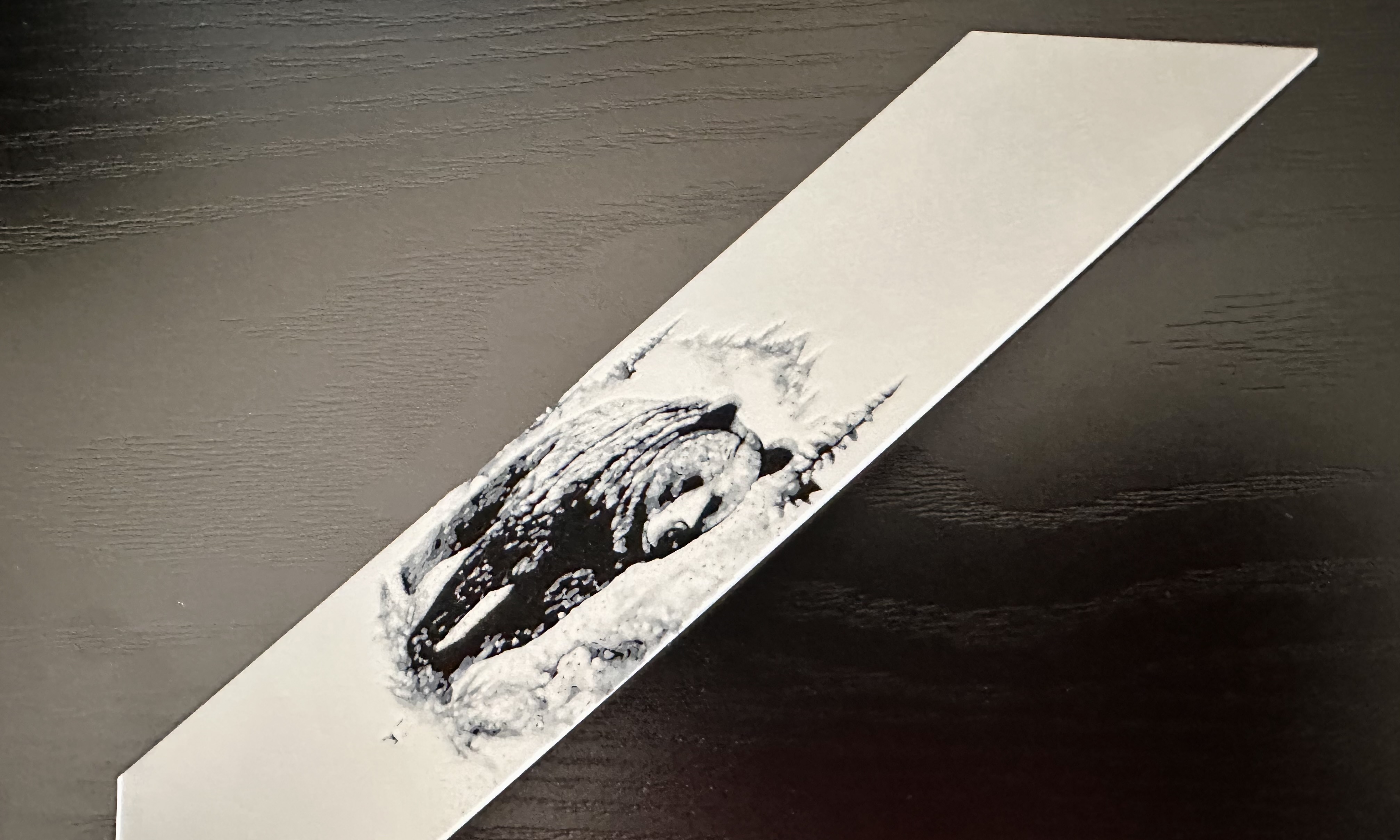 3D Printed Bookmark - Grizzly Bear