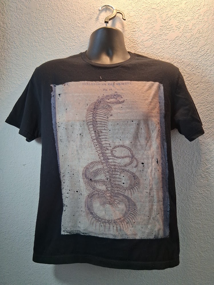 Snake Skeleton Sketch