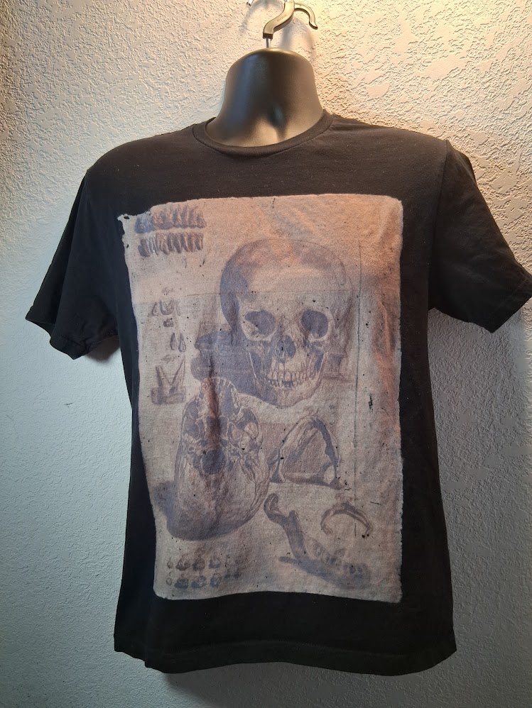 Human Skull Sketch