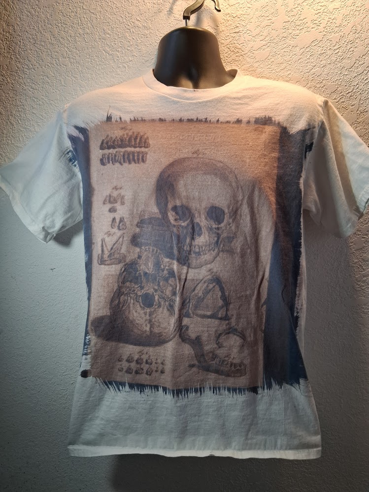 Human Skull Sketch