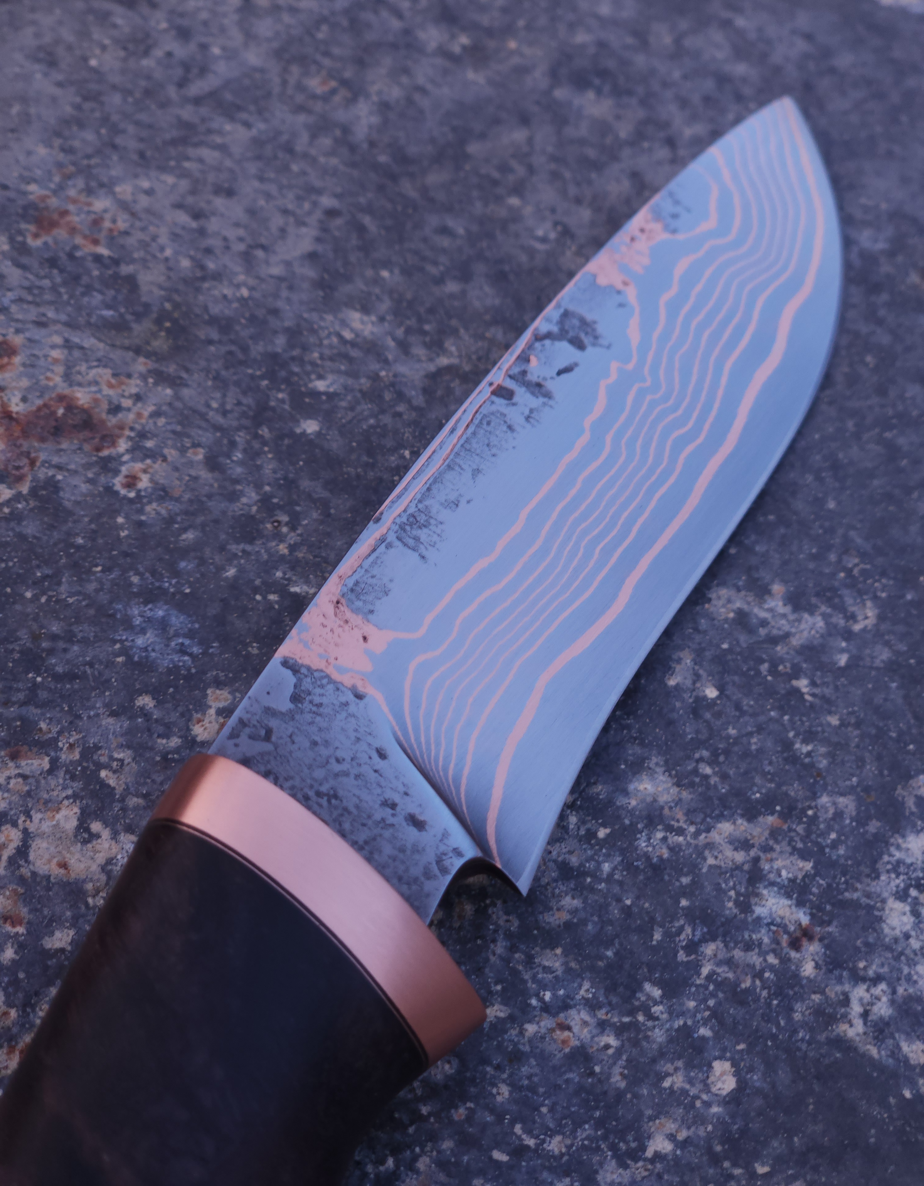 Copper Damascus Hunter (Black Maple Burl)
