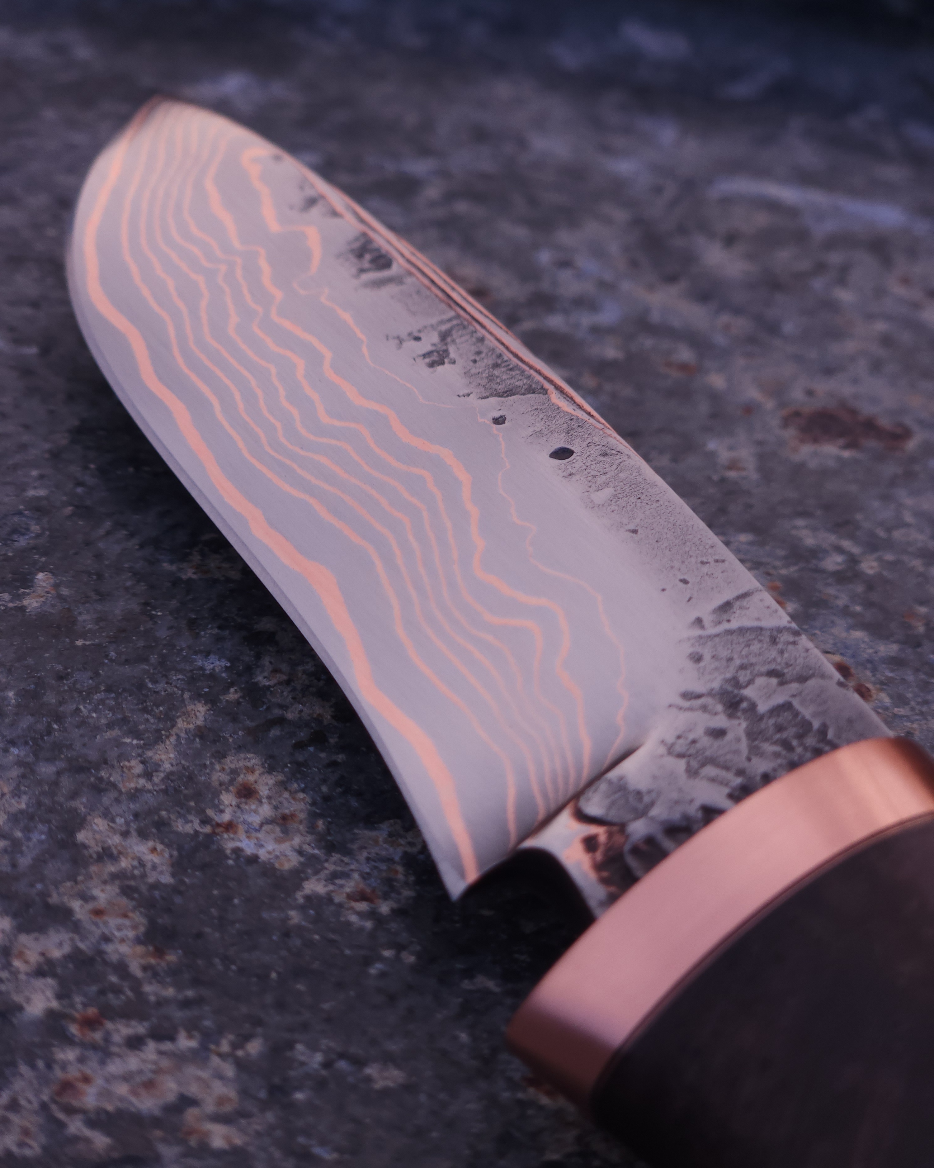 Copper Damascus Hunter (Black Maple Burl)