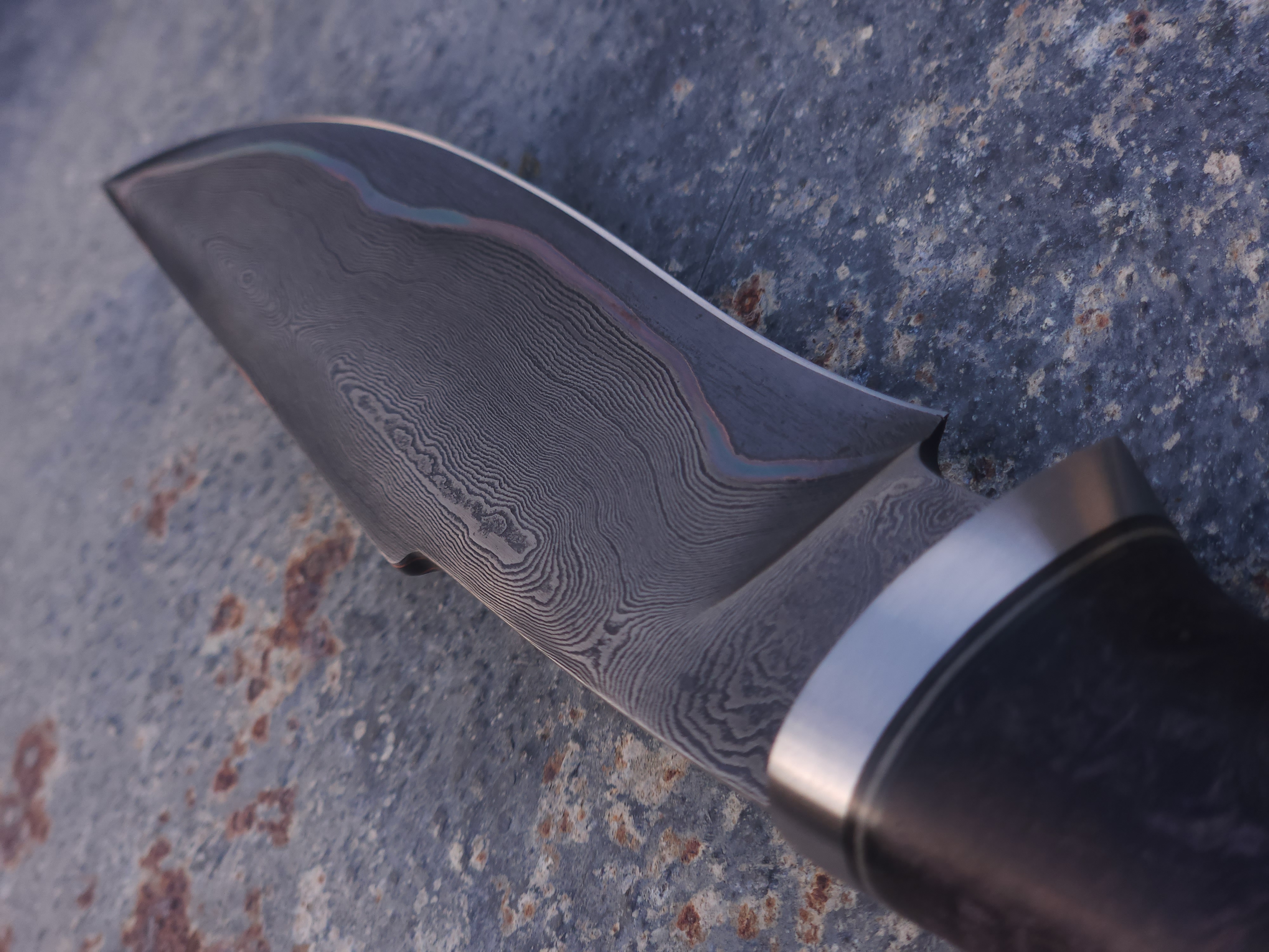 Purple Copper Damascus Hunter 2