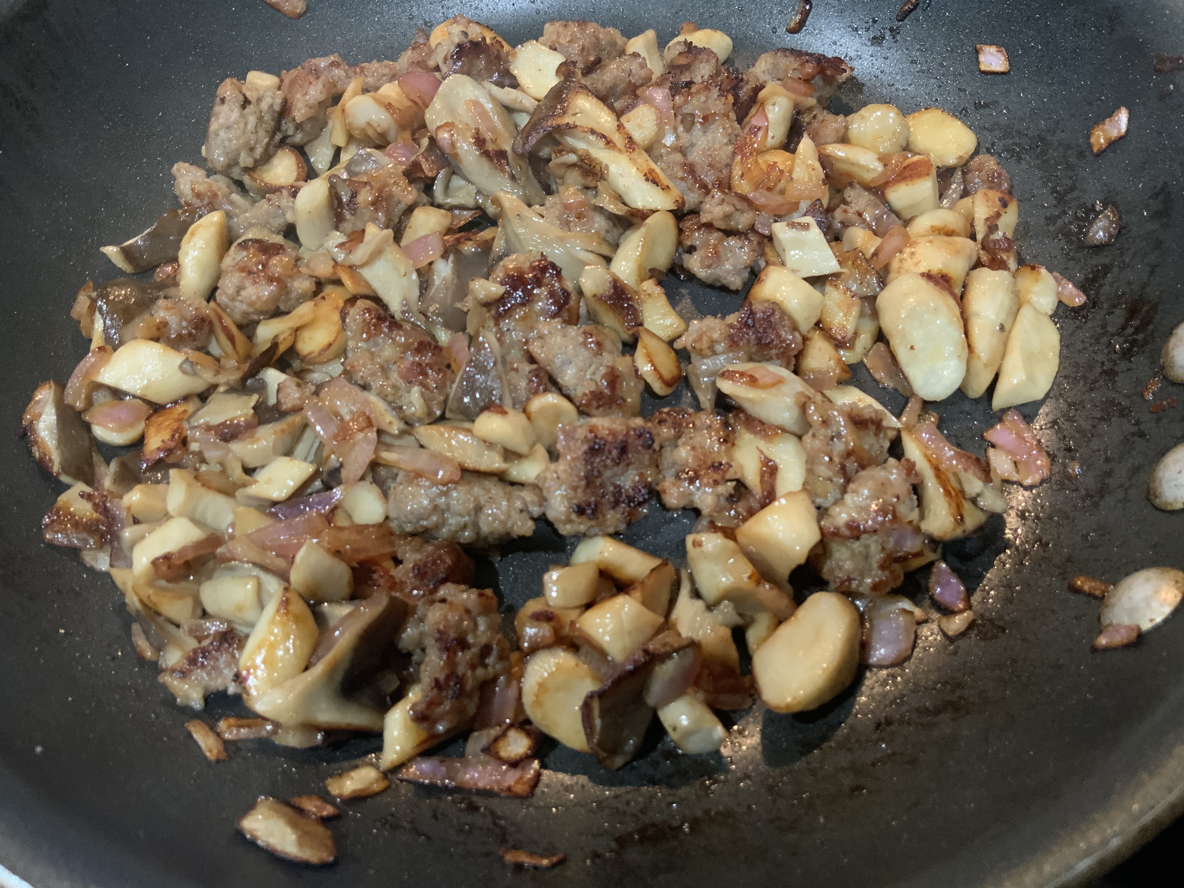 Organic Gourmet Black Pearl King Oyster Mushrooms (Pleurotus ostreatus)