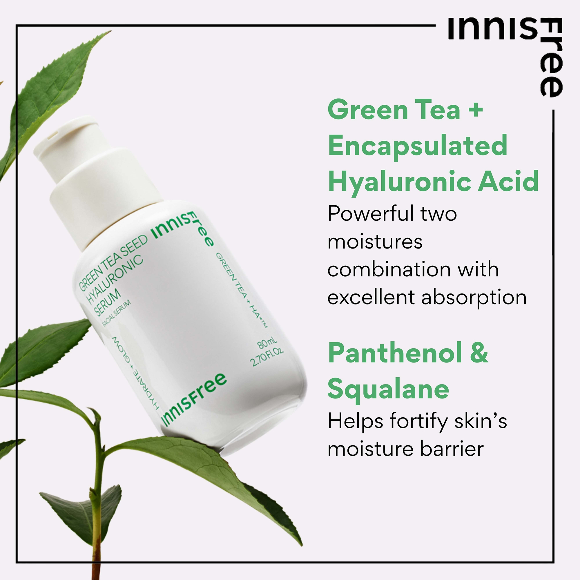 Innisfree Green Tea Seed Hyaluronic Serum