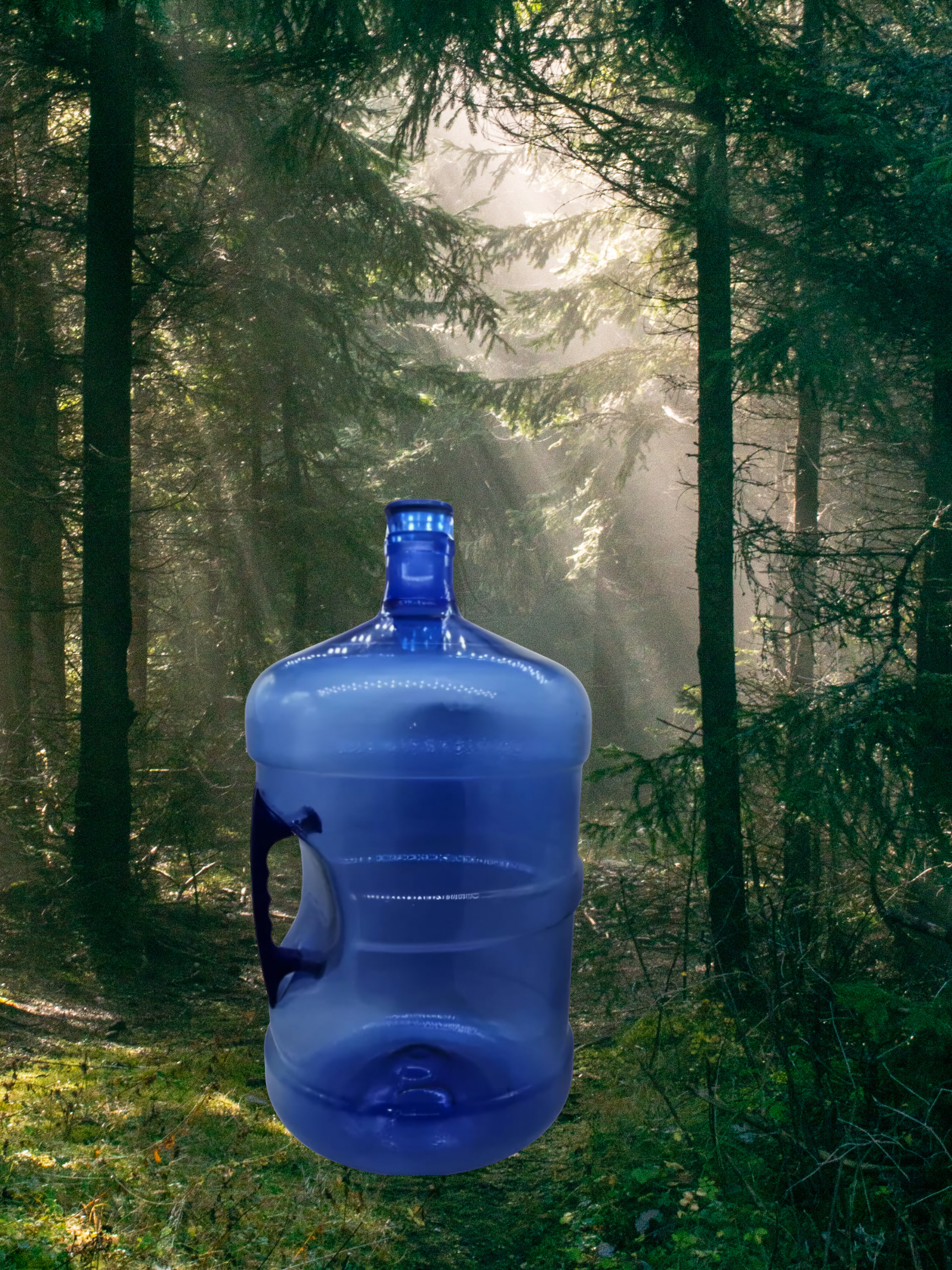 Agua Purificada Cuitlapan 19L