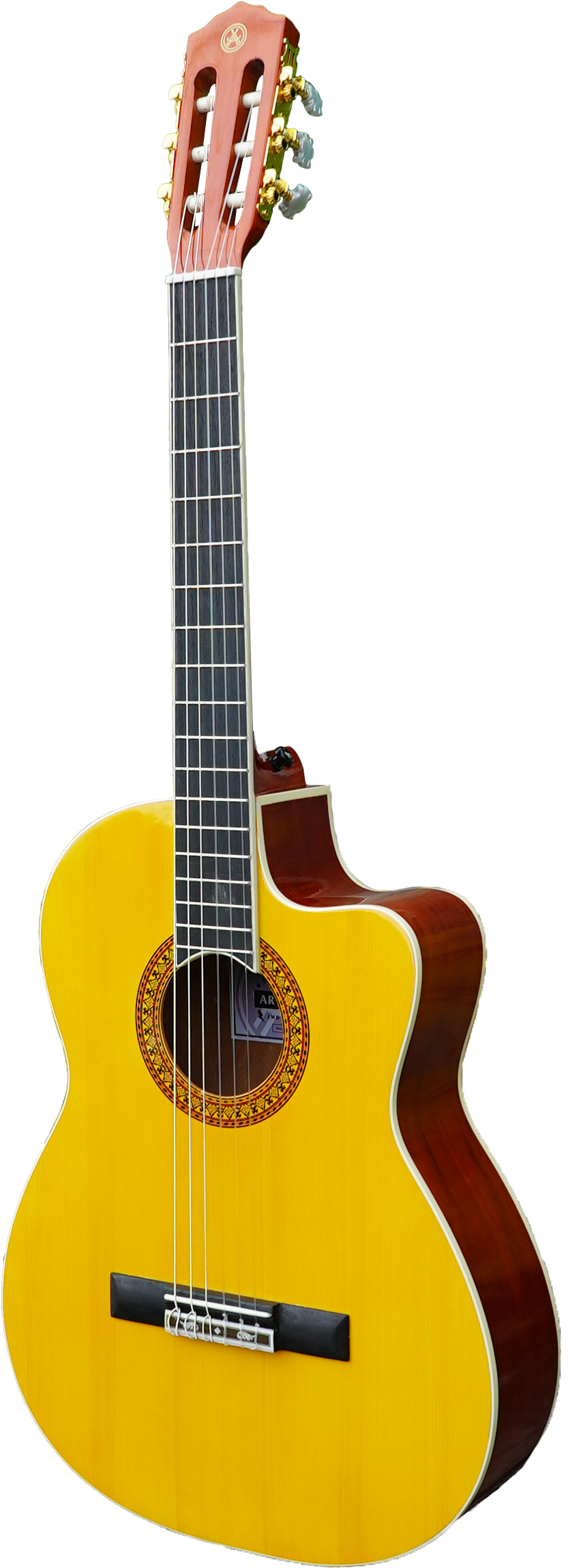 AR-NC01