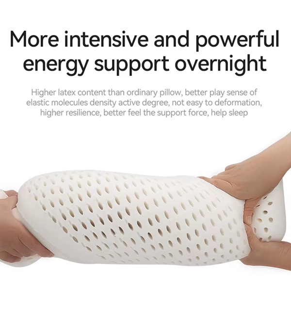  Organic Latex Pillow