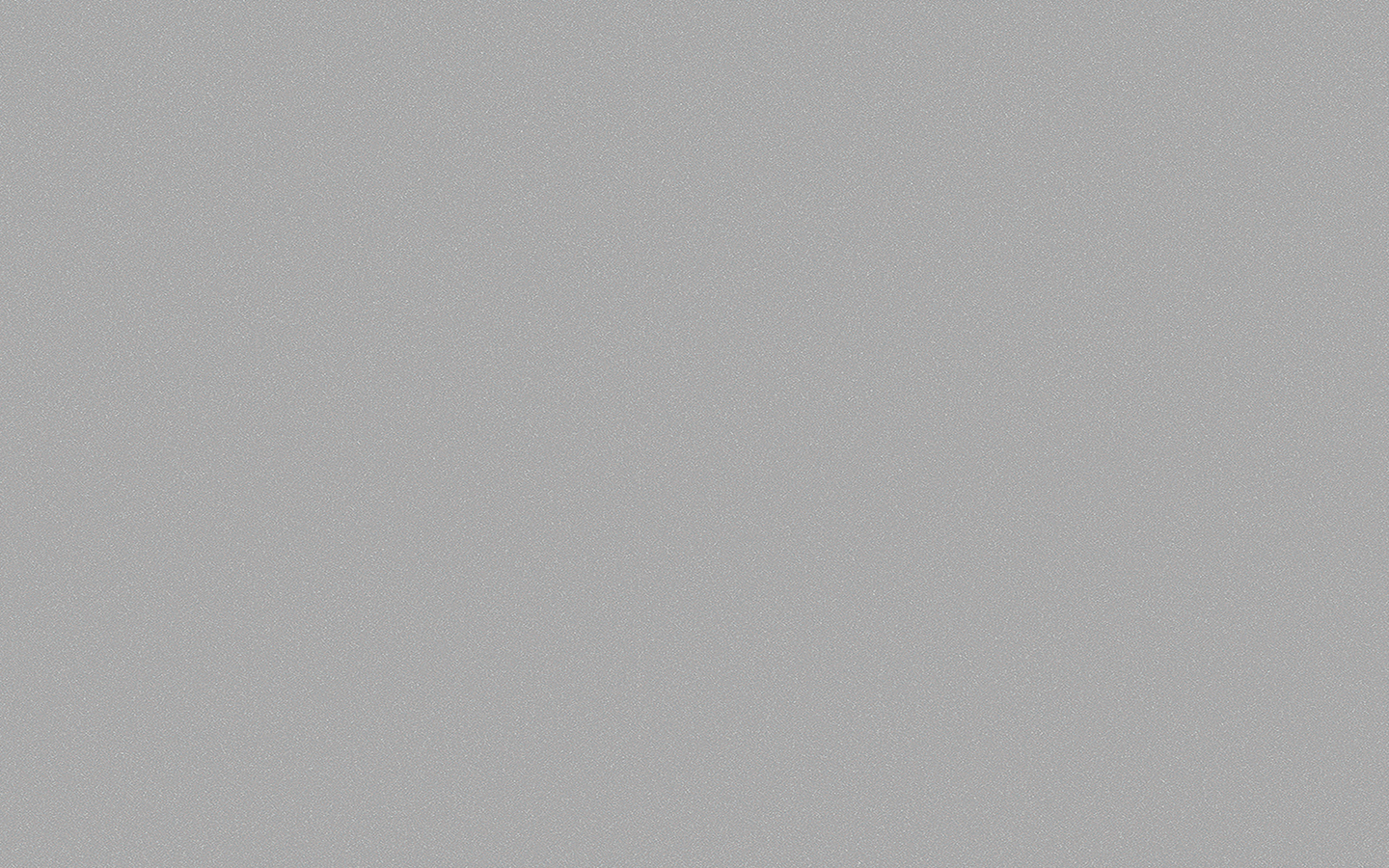 WP02MS19