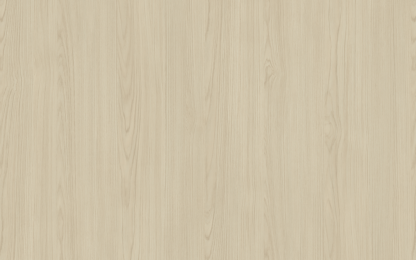 WP02BW016