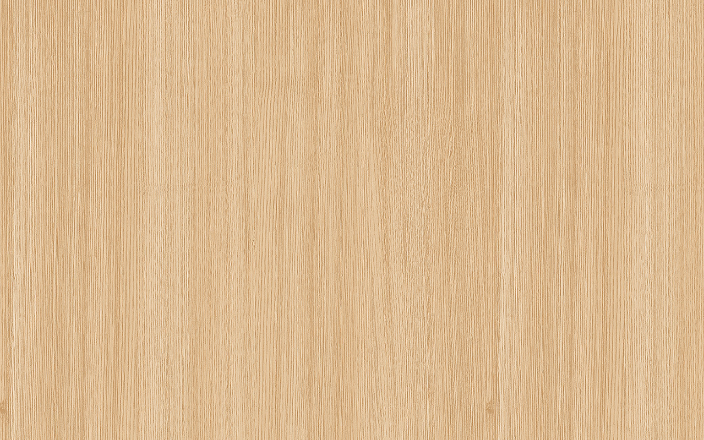 WP02DW161