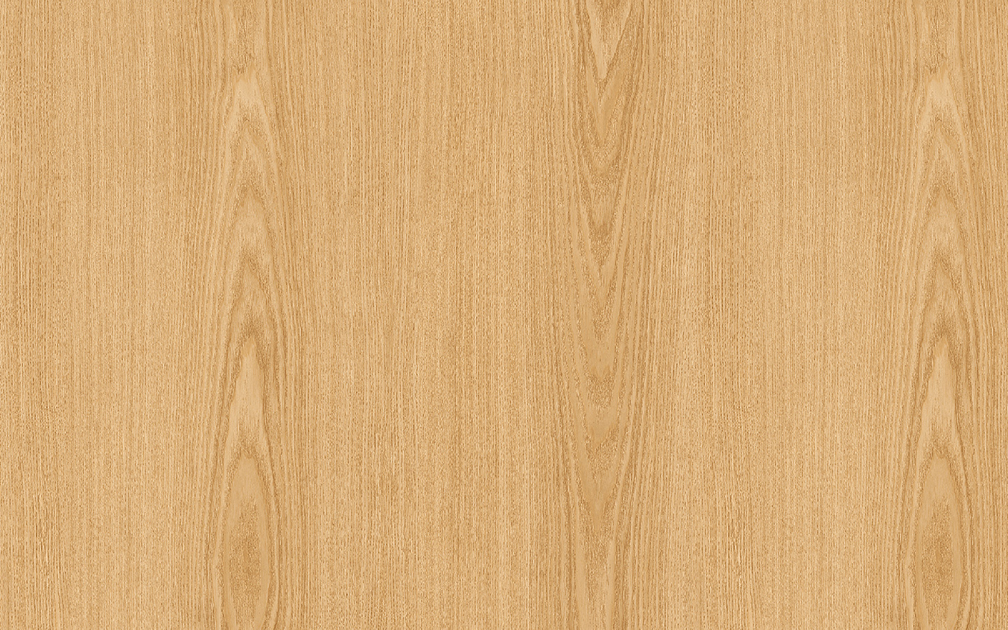 WP02NW039