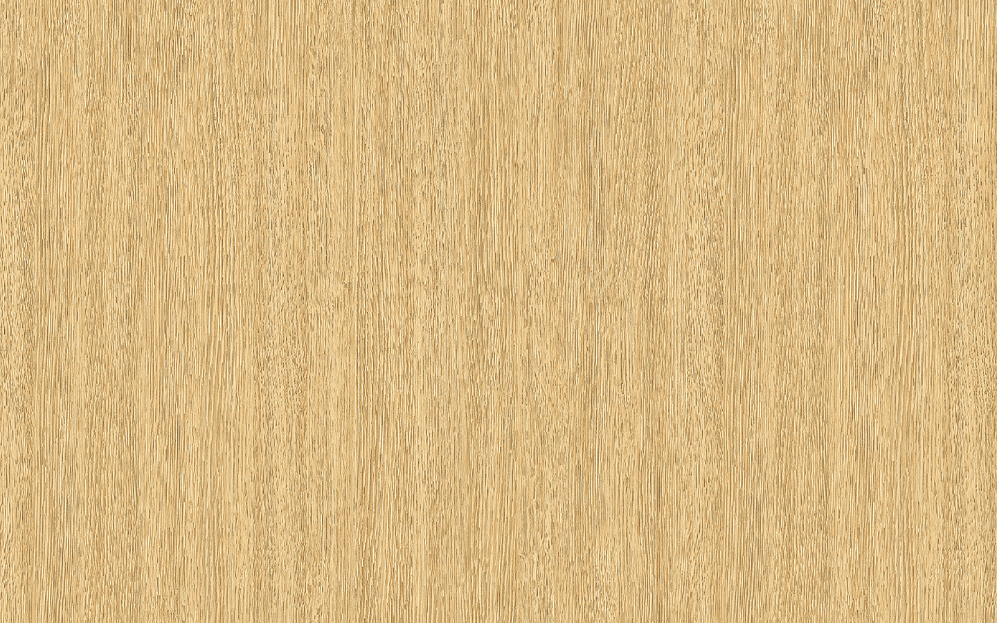 WP02CW599